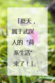 夏天，属于武汉人的“荷系生活”来了！