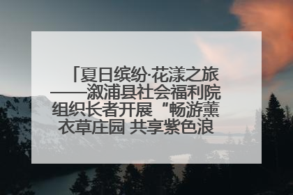夏日缤纷·花漾之旅——溆浦县社会福利院组织长者开展“畅游薰衣草庄园 共享紫色浪漫”户外活动