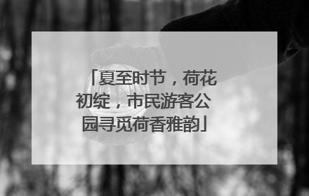 夏至时节，荷花初绽，市民游客公园寻觅荷香雅韵