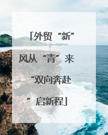外贸“新”风从“青”来 “双向奔赴”启新程