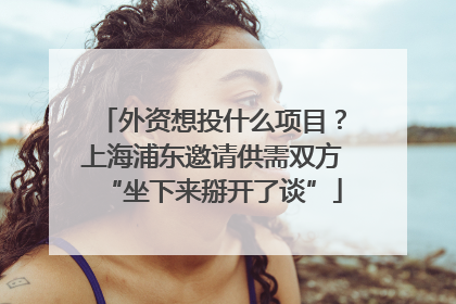 外资想投什么项目？上海浦东邀请供需双方“坐下来掰开了谈”
