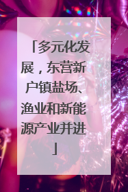 多元化发展,东营新户镇盐场、渔业和新能源产业并进