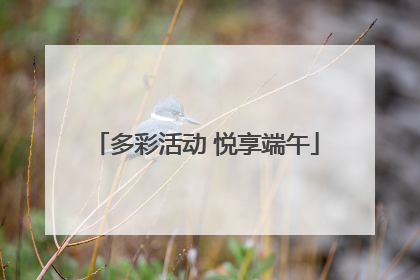 多彩活动 悦享端午