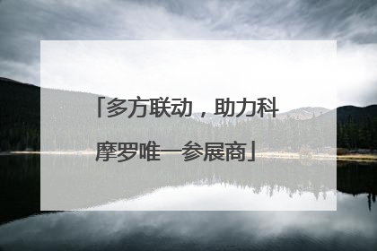 多方联动，助力科摩罗唯一参展商
