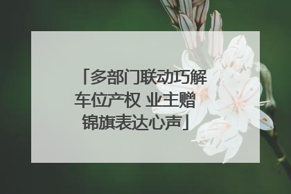 多部门联动巧解车位产权 业主赠锦旗表达心声