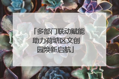 多部门联动赋能 助力荷塘区文创园焕新启航