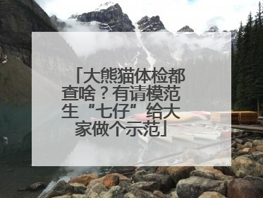 大熊猫体检都查啥？有请模范生“七仔”给大家做个示范
