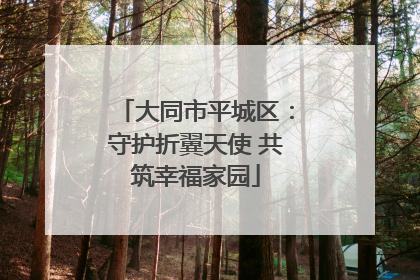 大同市平城区：守护折翼天使 共筑幸福家园