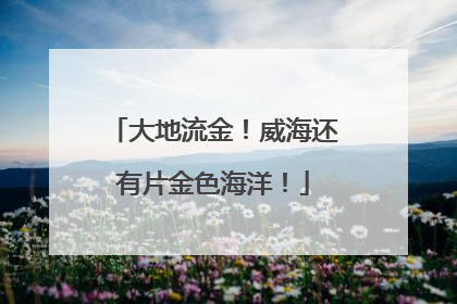 大地流金！威海还有片金色海洋！