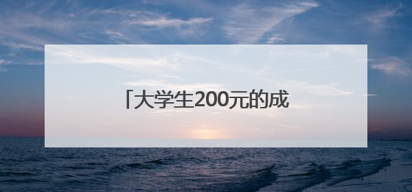 大学生200元的成本干了20亿的项目？网友：羡慕了……