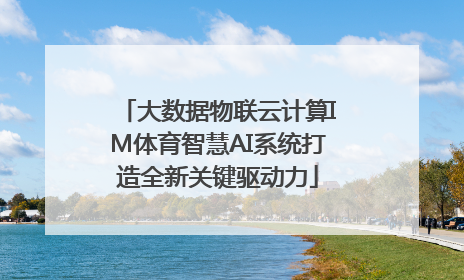 大数据物联云计算IM体育智慧AI系统打造全新关键驱动力