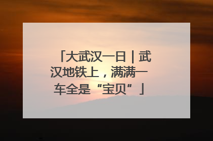 大武汉一日｜武汉地铁上，满满一车全是“宝贝”