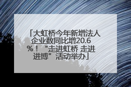 大虹桥今年新增法人企业数同比增20.6%！“走进虹桥 走进进博”活动举办