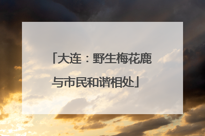 大连：野生梅花鹿与市民和谐相处