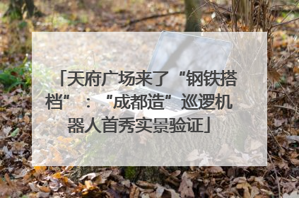 天府广场来了“钢铁搭档”：“成都造”巡逻机器人首秀实景验证