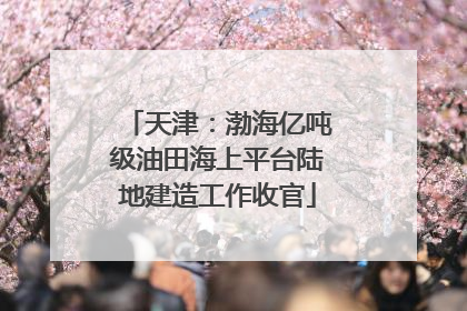 天津：渤海亿吨级油田海上平台陆地建造工作收官