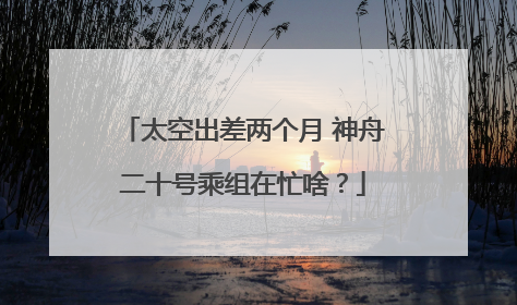 太空出差两个月 神舟二十号乘组在忙啥？