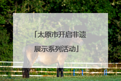 太原市开启非遗展示系列活动