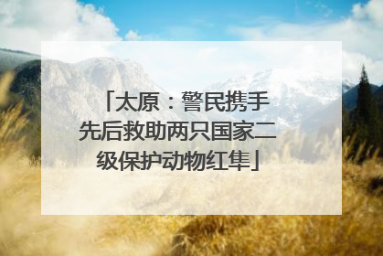 太原：警民携手 先后救助两只国家二级保护动物红隼