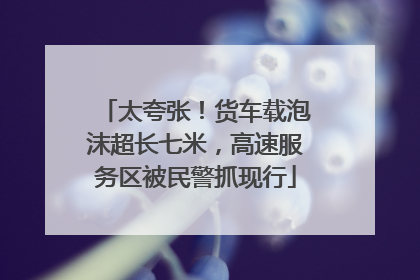 太夸张！货车载泡沫超长七米，高速服务区被民警抓现行