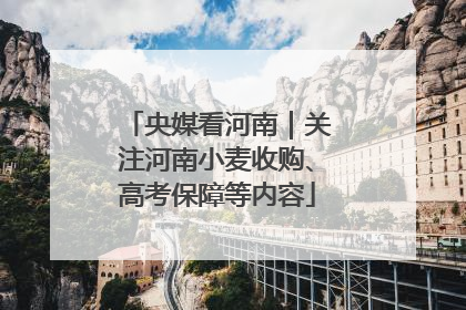 央媒看河南｜关注河南小麦收购、高考保障等内容