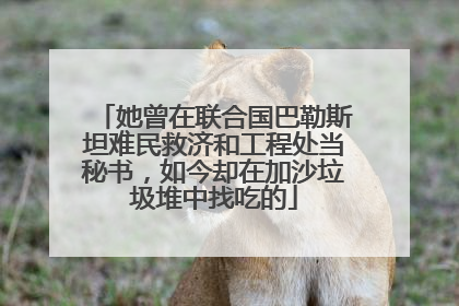 她曾在联合国巴勒斯坦难民救济和工程处当秘书，如今却在加沙垃圾堆中找吃的