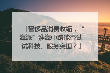 奢侈品消费收缩，“海派”淮海中路能否试试科技、服务突围？
