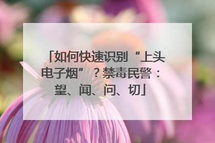 如何快速识别“上头电子烟”？禁毒民警：望、闻、问、切