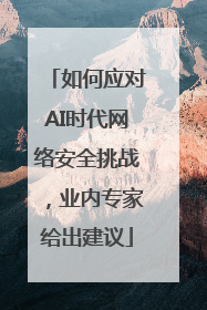 如何应对AI时代网络安全挑战，业内专家给出建议