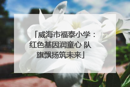 威海市福泰小学：红色基因润童心 队旗飘扬筑未来