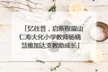 忆往昔，启新程眉山仁寿大化小学教师杨晓慧雅加达支教助成长
