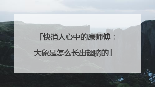 快消人心中的康师傅：大象是怎么长出翅膀的