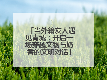 当外籍友人遇见青城：开启一场穿越文物与奶香的文明对话