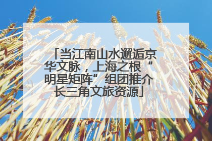 当江南山水邂逅京华文脉，上海之根“明星矩阵”组团推介长三角文旅资源
