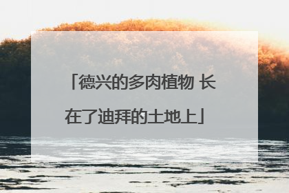 德兴的多肉植物 长在了迪拜的土地上