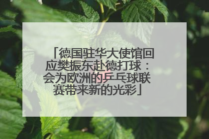 德国驻华大使馆回应樊振东赴德打球：会为欧洲的乒乓球联赛带来新的光彩