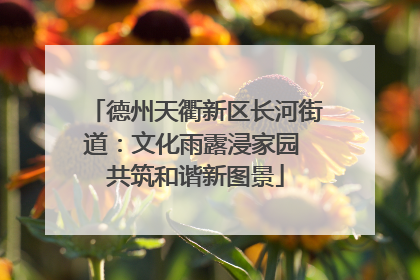 德州天衢新区长河街道：文化雨露浸家园 共筑和谐新图景