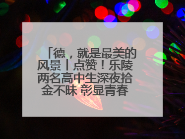 德，就是最美的风景丨点赞！乐陵两名高中生深夜拾金不昧 彰显青春正能量