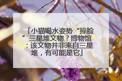 小猫喝水姿势“撞脸”三星堆文物？博物馆：该文物并非来自三星堆，有可能是它