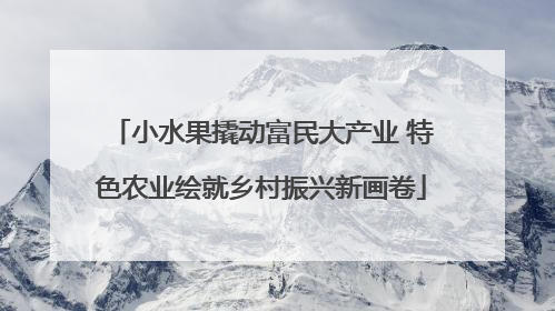 小水果撬动富民大产业 特色农业绘就乡村振兴新画卷