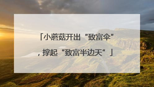 小蘑菇开出“致富伞”，撑起“致富半边天”