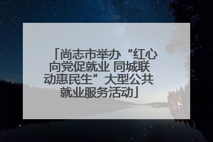 尚志市举办“红心向党促就业 同城联动惠民生”大型公共就业服务活动