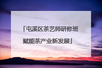 屯溪区茶艺师研修班赋能茶产业新发展
