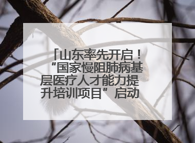 山东率先开启！“国家慢阻肺病基层医疗人才能力提升培训项目”启动会在济南召开