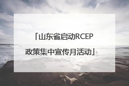 山东省启动RCEP政策集中宣传月活动