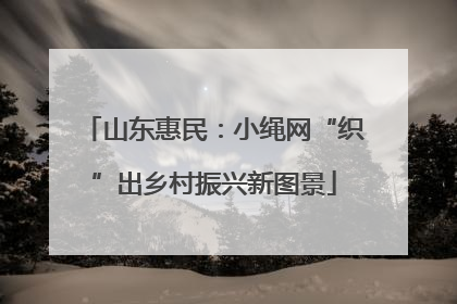 山东惠民：小绳网“织”出乡村振兴新图景