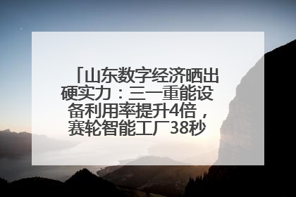 山东数字经济晒出硬实力：三一重能设备利用率提升4倍，赛轮智能工厂38秒生产一条轮胎