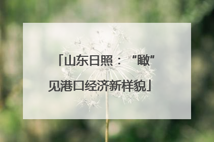 山东日照：“瞰”见港口经济新样貌