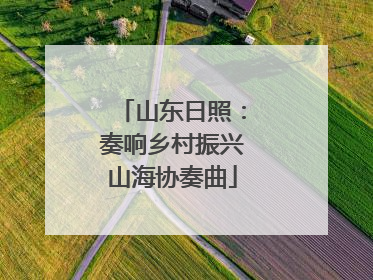 山东日照：奏响乡村振兴山海协奏曲