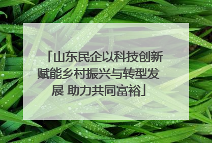 山东民企以科技创新赋能乡村振兴与转型发展 助力共同富裕